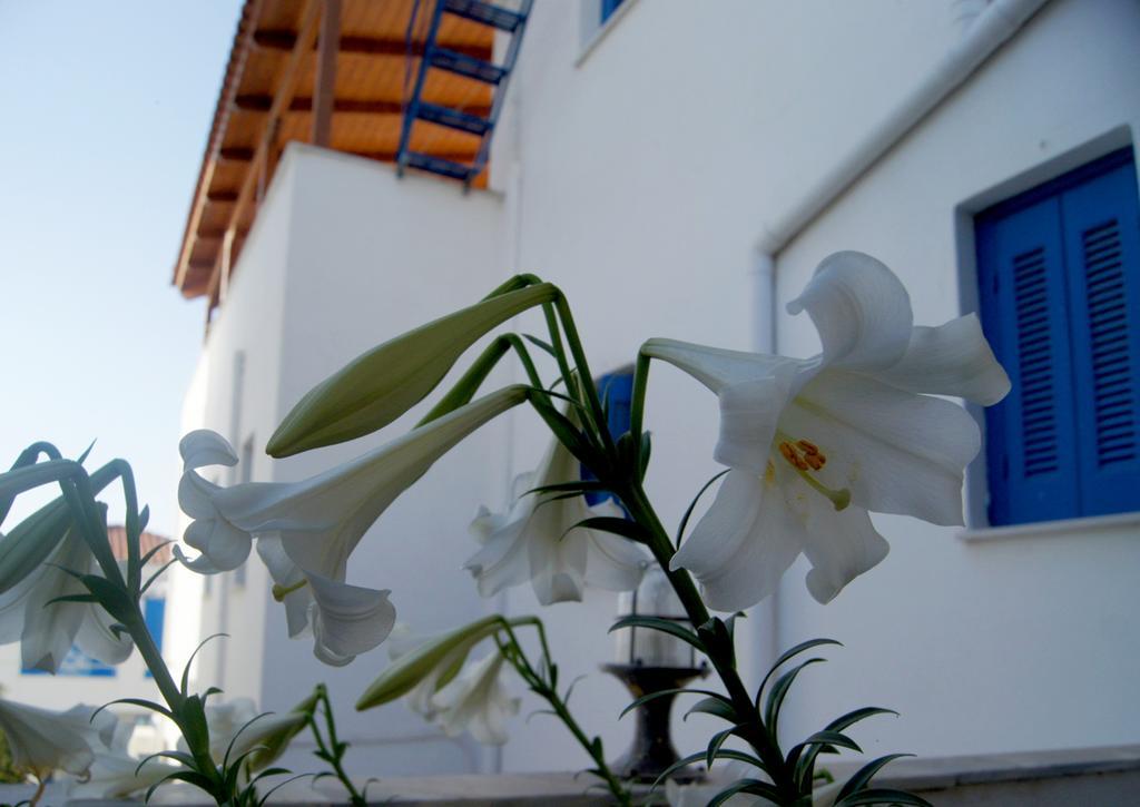 Apartmán Idroussa Batsíon Exteriér fotografie