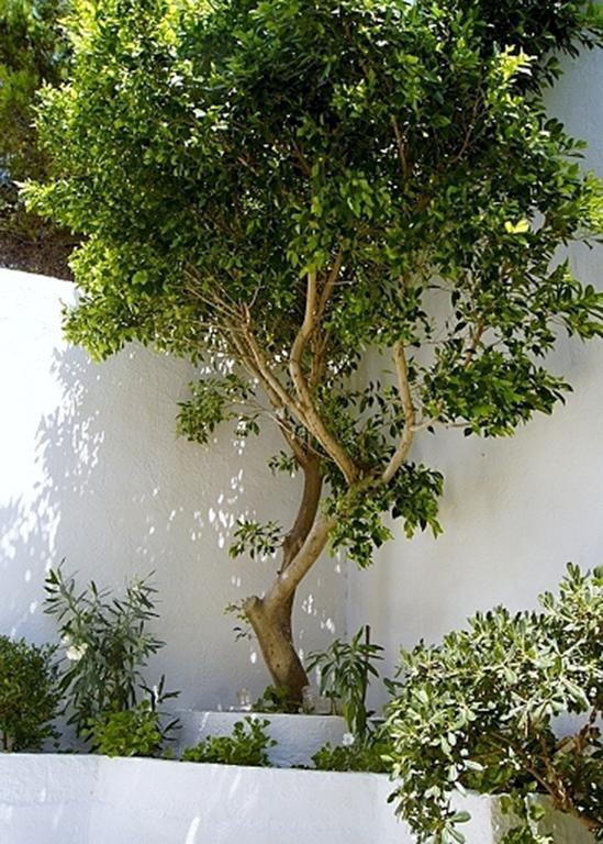 Apartmán Idroussa Batsíon Exteriér fotografie